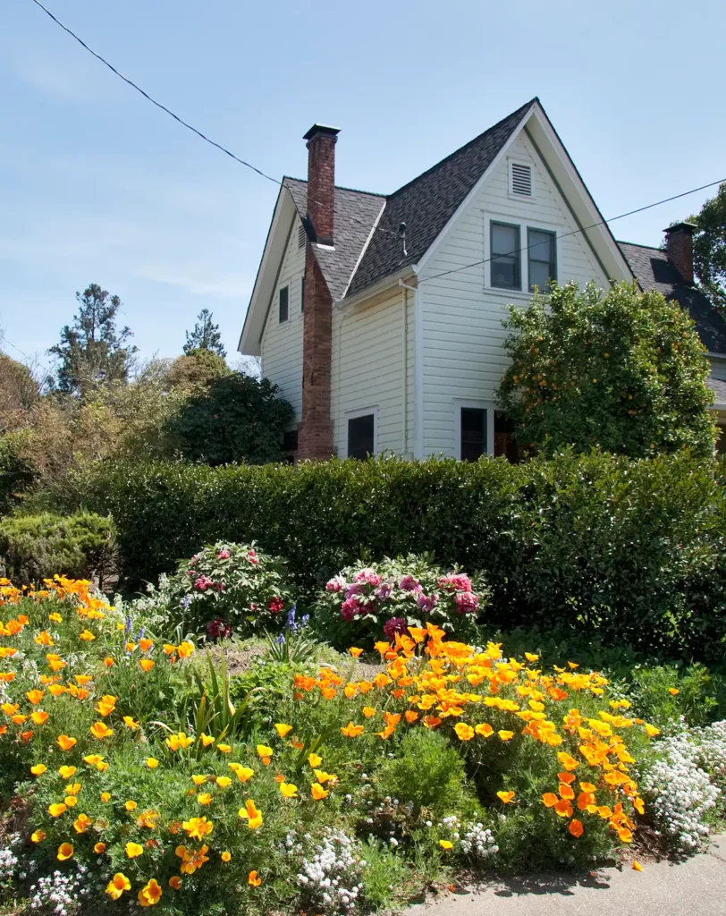 The Roost - Sun Room