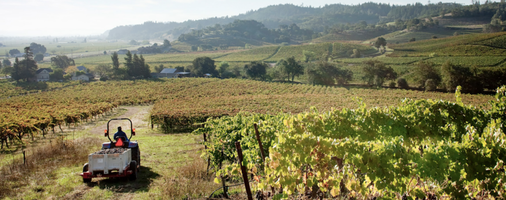 Seghesio Family Vineyards