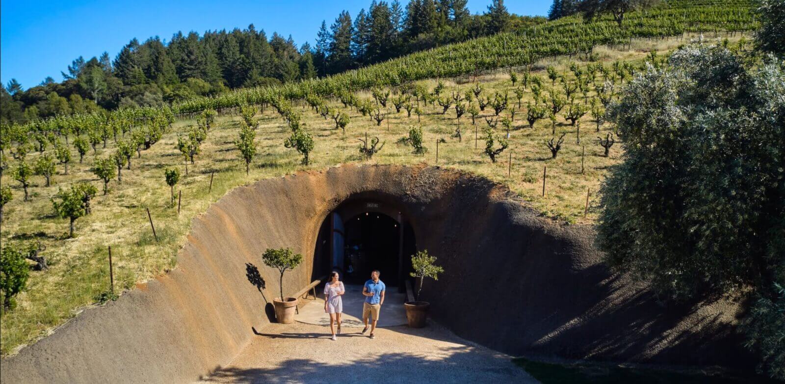 A couple walks towards a cave entrance surrounded by vineyards and olive trees in Healdsburg, California.