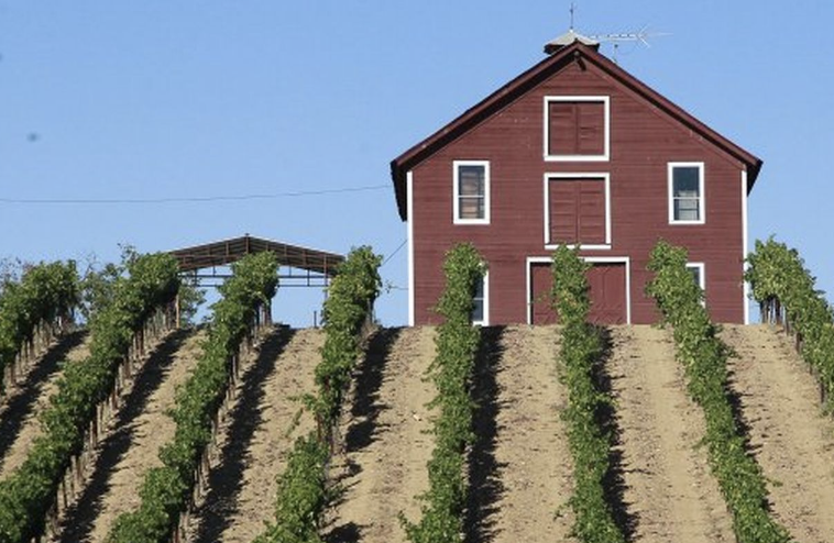 Kokomo Winery Kokomo Winery