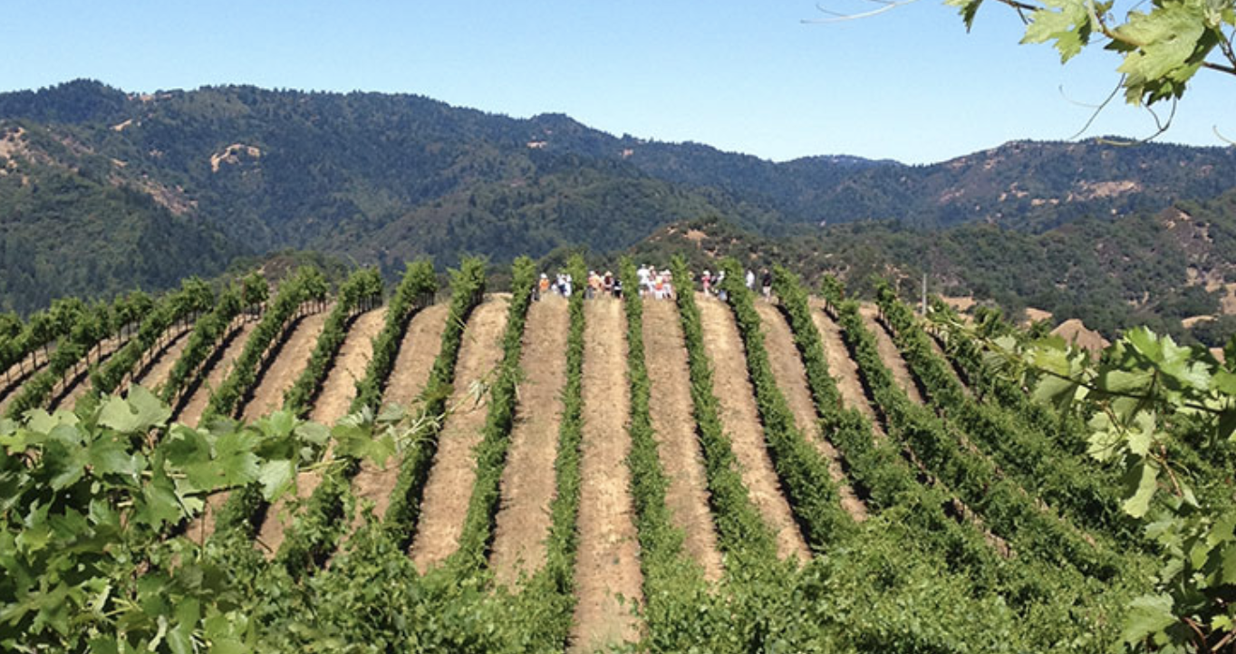 Mauritson Wines Mauritson Wines