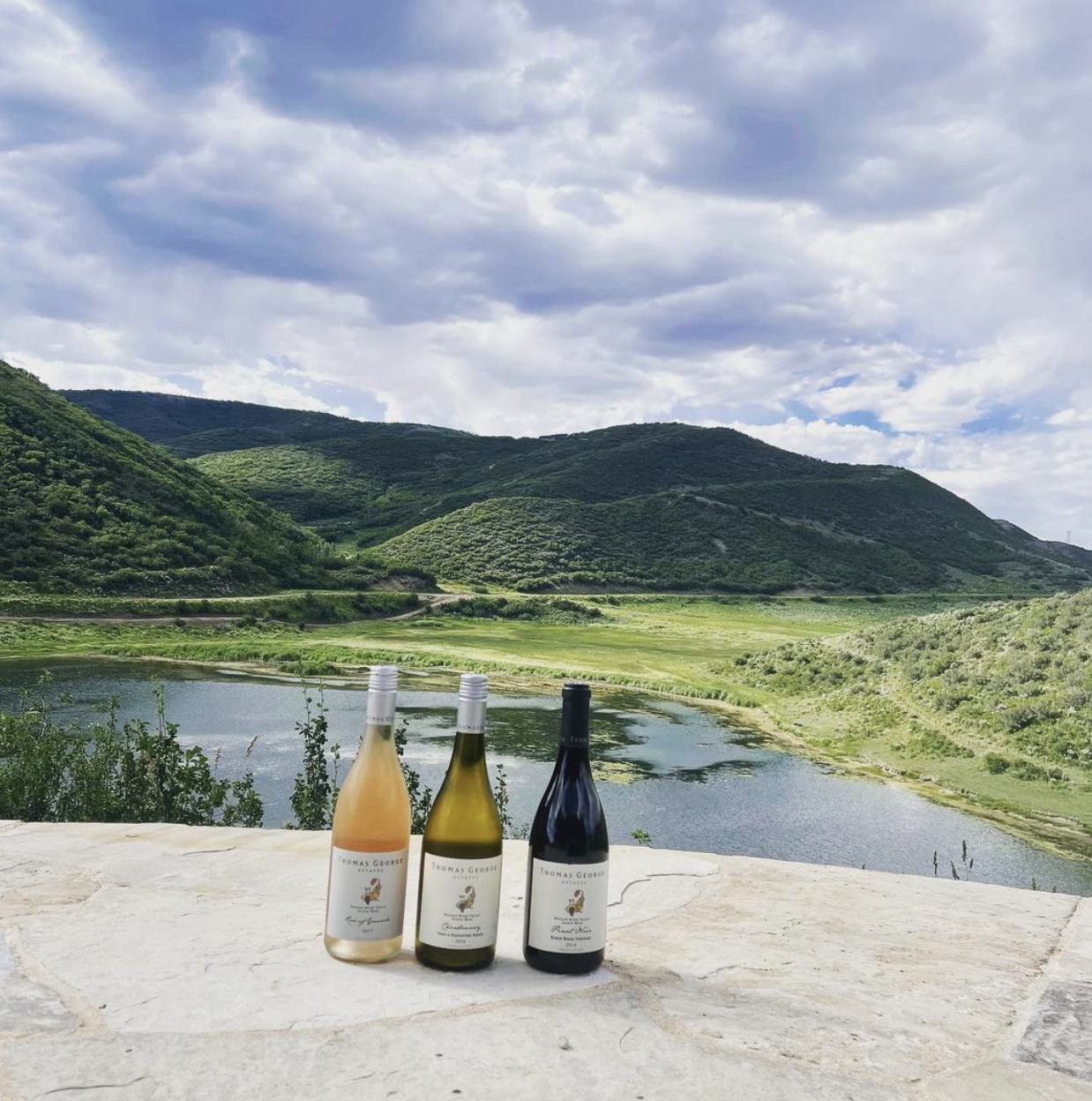 Thomas George Estates Thomas George Estates