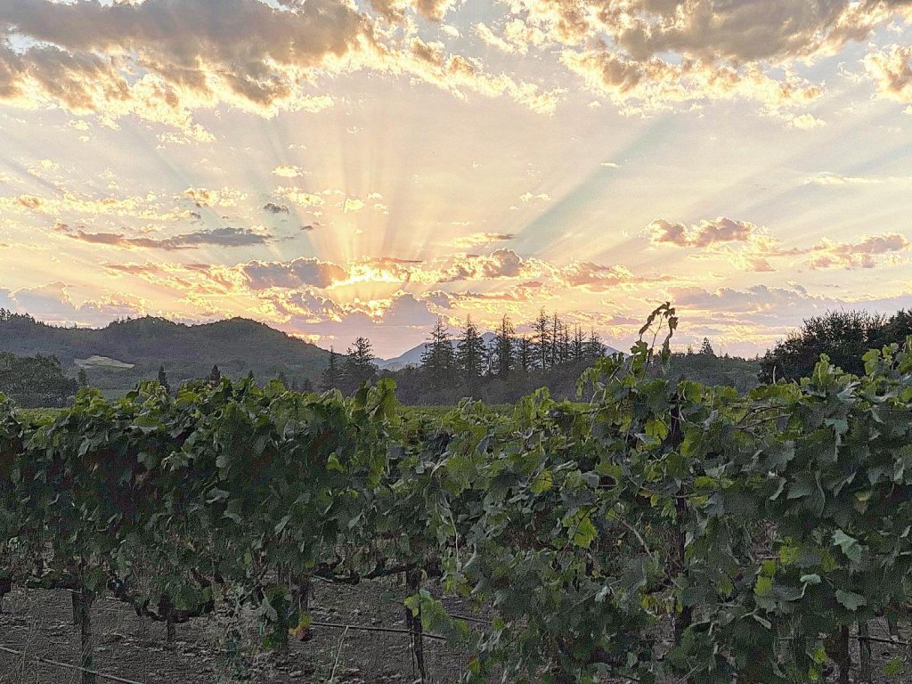 Sunbeams pierce through clouds at sunset over a lush vineyard with distant mountains in Healdsburg, California.