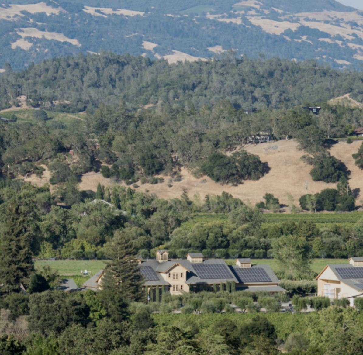 Preston Farm and Winery Preston Farm and Winery