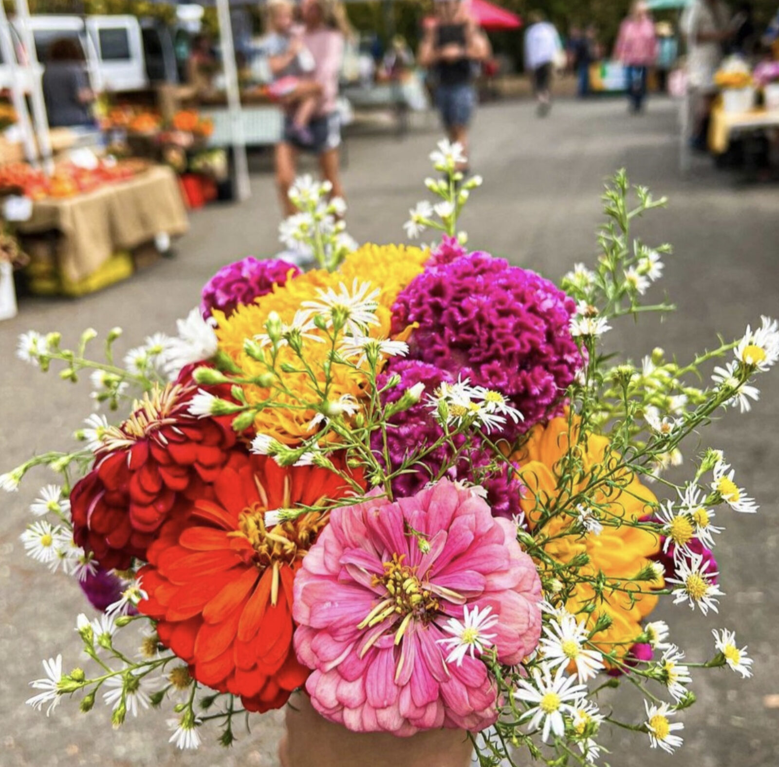 Healdsburg Farmers Market
