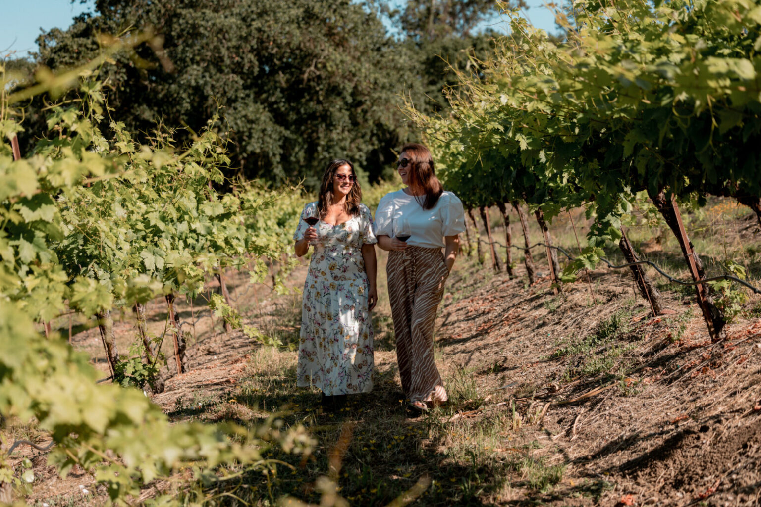 Plan your Summer Getaway in Healdsburg Stay Healdsburg