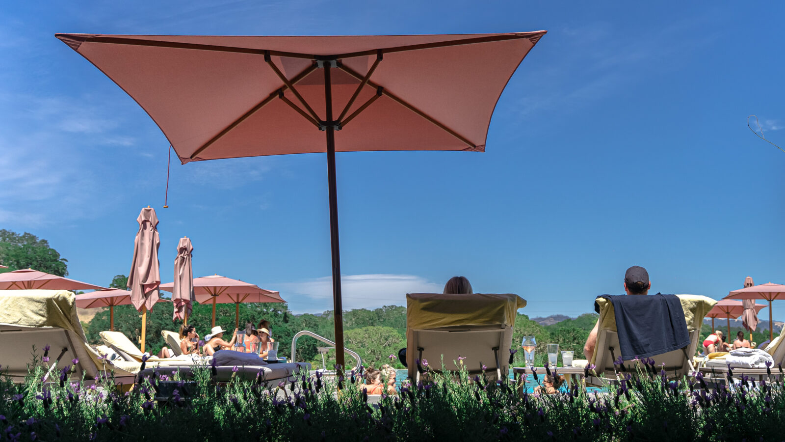 Plan your Summer Getaway in Healdsburg Plan your Summer Getaway in Healdsburg