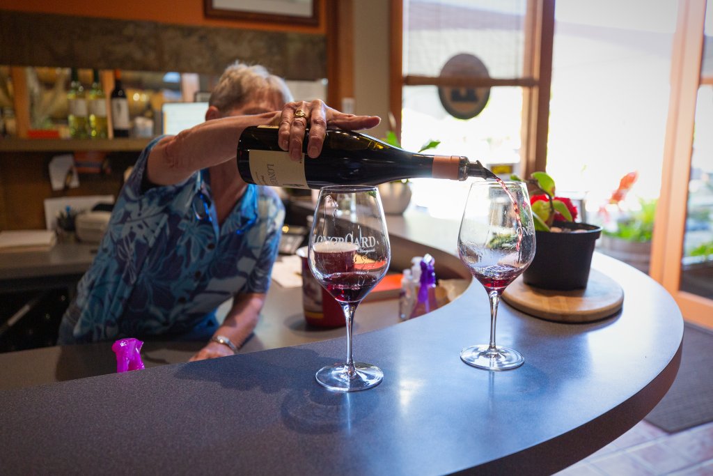 A woman pours red wine into two glasses at a bar with a plant nearby in Healdsburg, California.