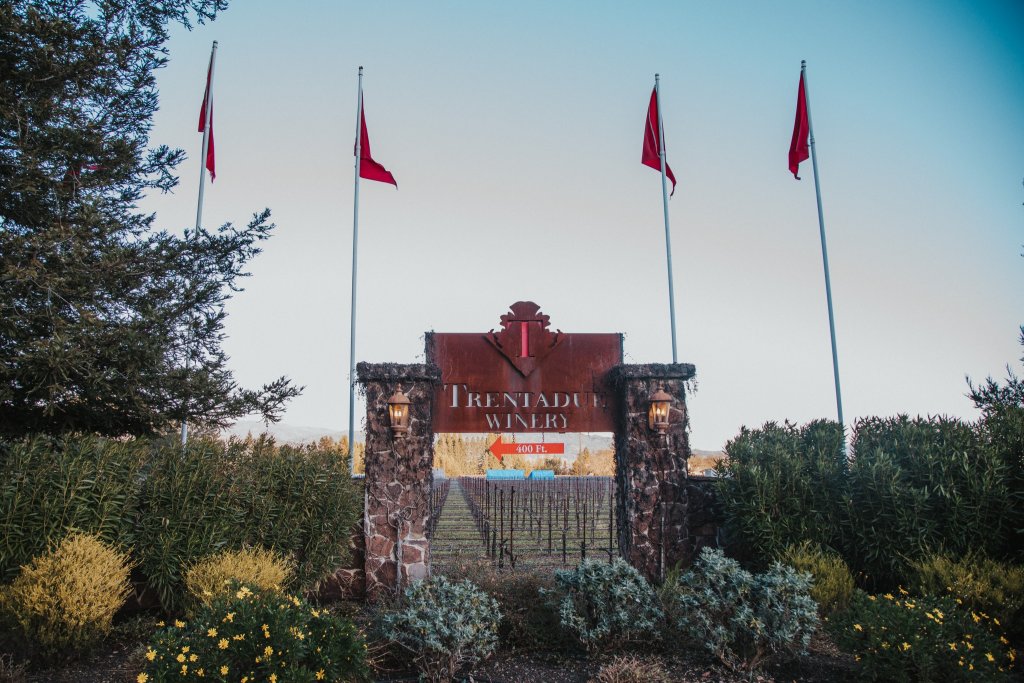 A stone archway with the name 'Trintadu Winery' and red flags marks the entrance to a vineyard in Healdsburg, California.