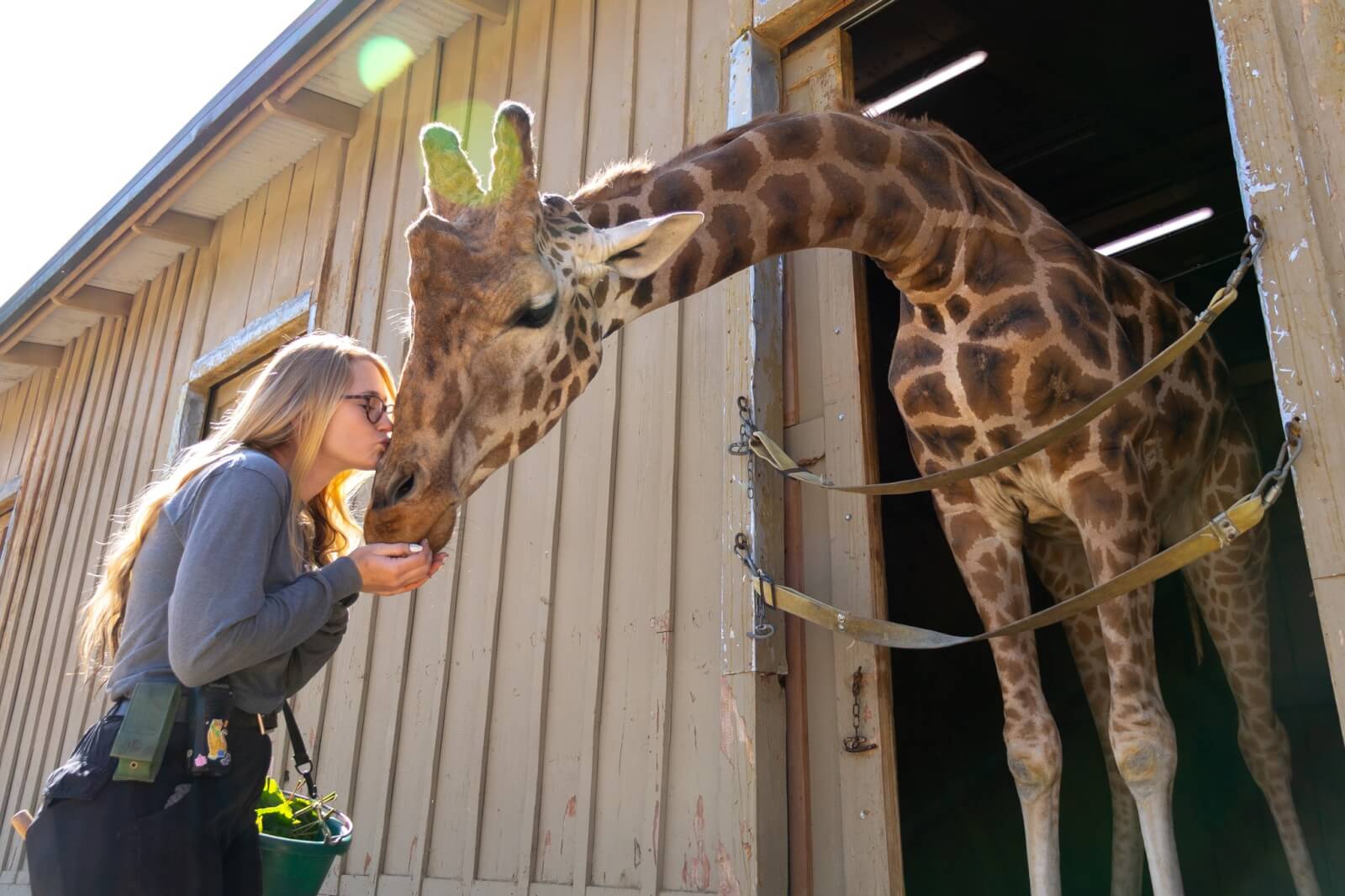 Listados Safari West