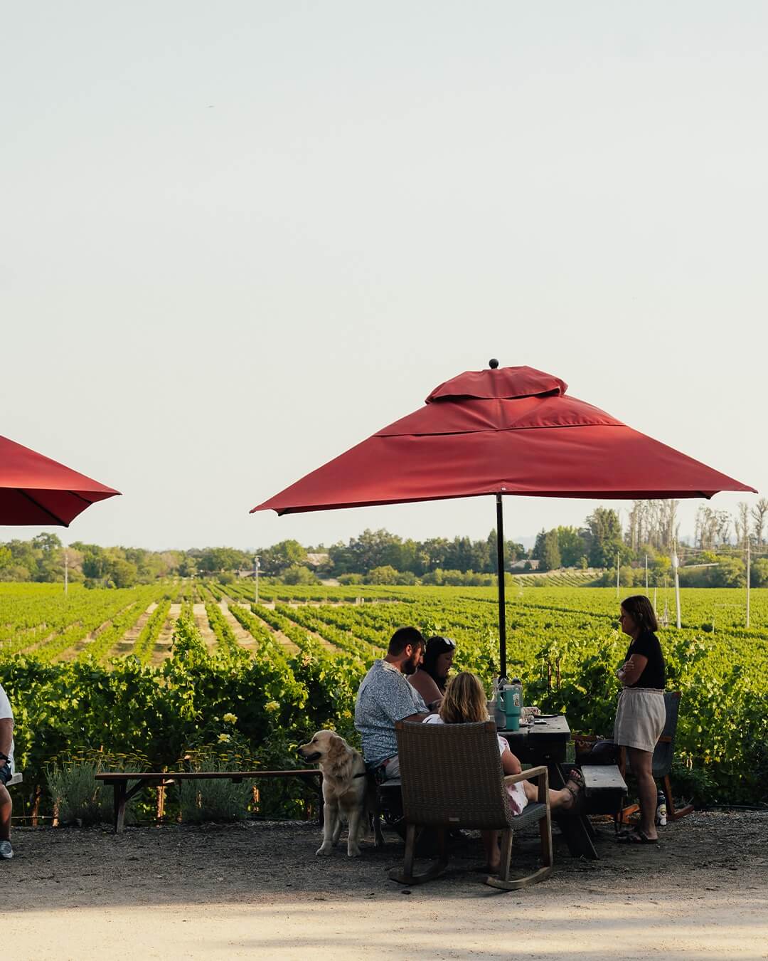 La Crema Estate A group of people relax under red umbrellas at a vineyard table, enjoying the view in Healdsburg, California.