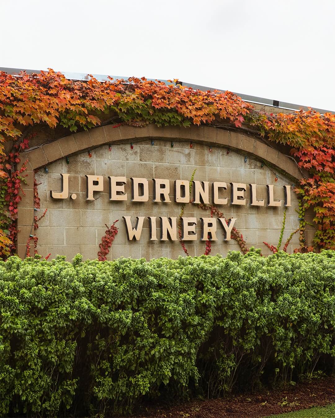 Listados Pedroncelli Winery