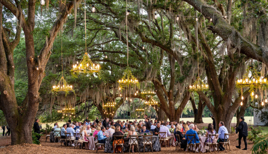 A large outdoor wedding reception under a canopy of trees with hanging chandeliers in Healdsburg, California.
