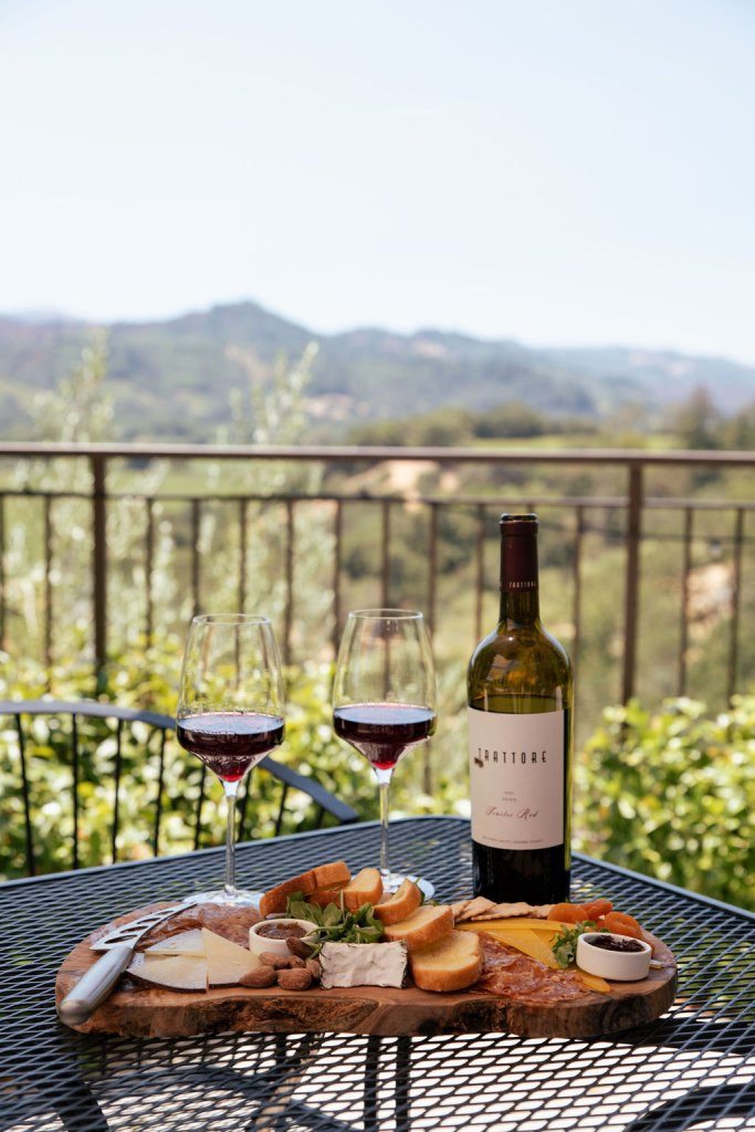 Wine and cheese platter on a wooden board with a scenic vineyard view in Healdsburg, California.