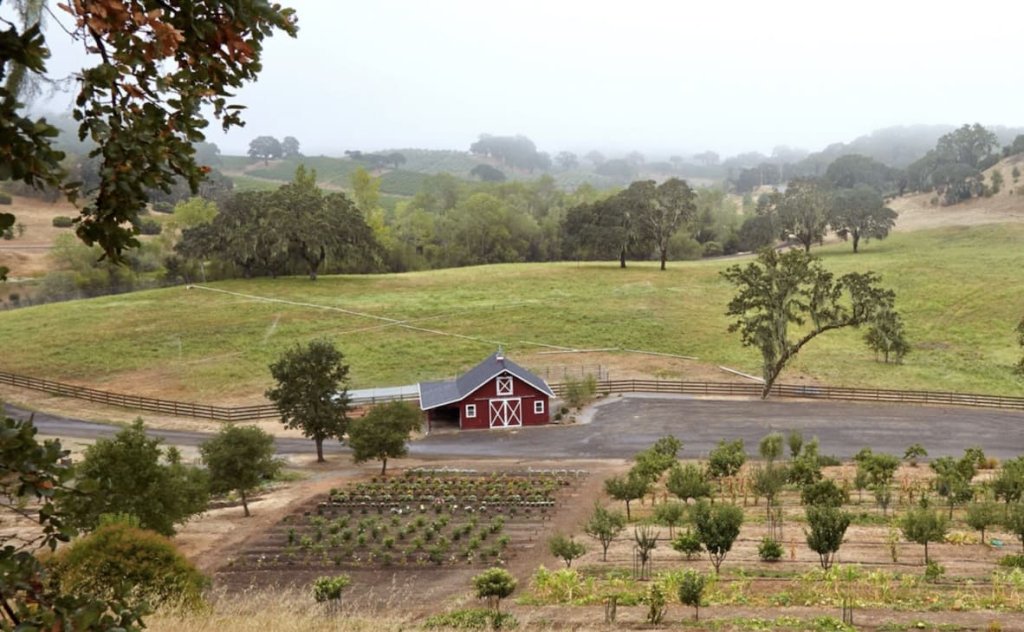 A picturesque red barn with a white door sits in the middle of a lush green field, surrounded by rolling hills and a winding dirt road in Healdsburg, California.