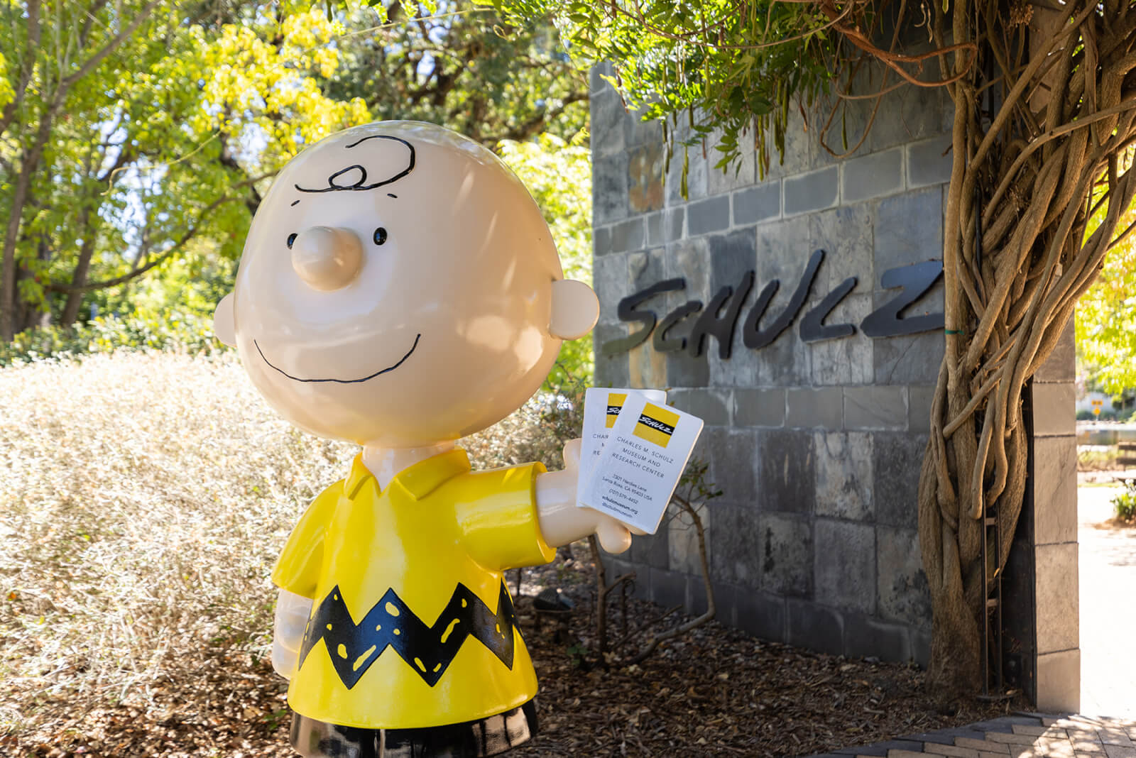 Charles M. Schulz Museum & Research Center A large statue of Charlie Brown's friend, holding pamphlets near a stone wall in Healdsburg, California.