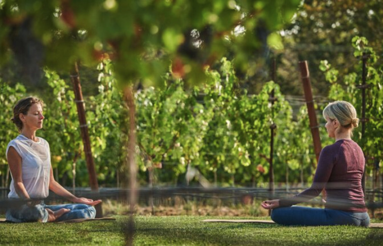 Harvest Wellness Weekend at Montage Healdsburg Harvest Wellness Weekend at Montage Healdsburg