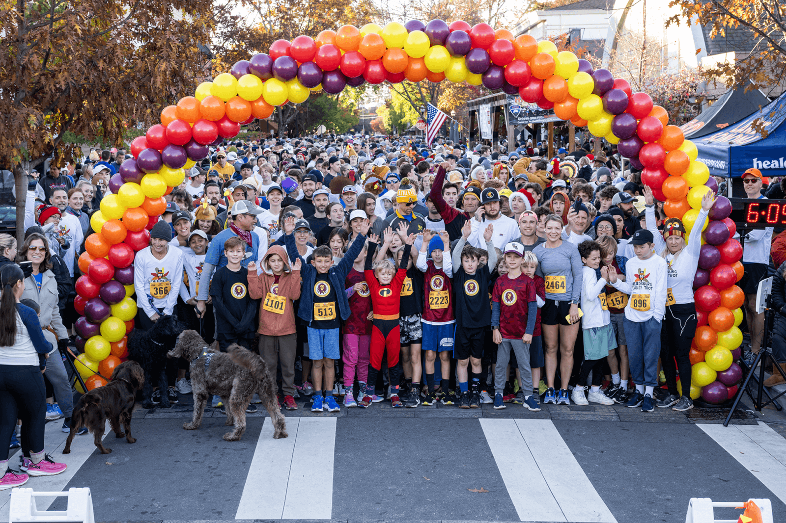 Healdsburg Running Company A large crowd of people, including children in superhero costumes, gathers under a colorful balloon arch for a race in Healdsburg, California.