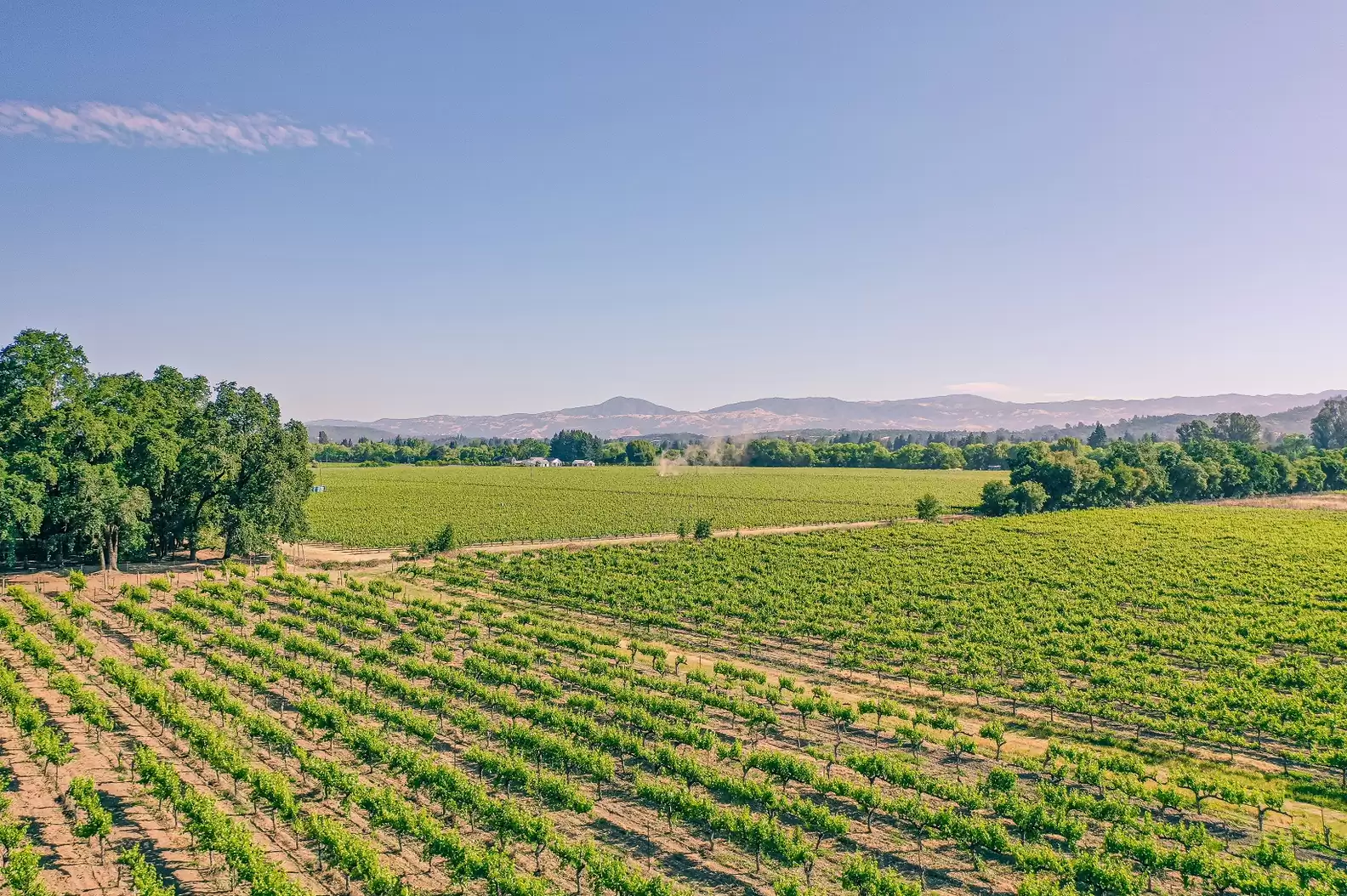 The Best Places to Visit in the US in January - Thrillist The Best Places to Visit in the US in January – Thrillist