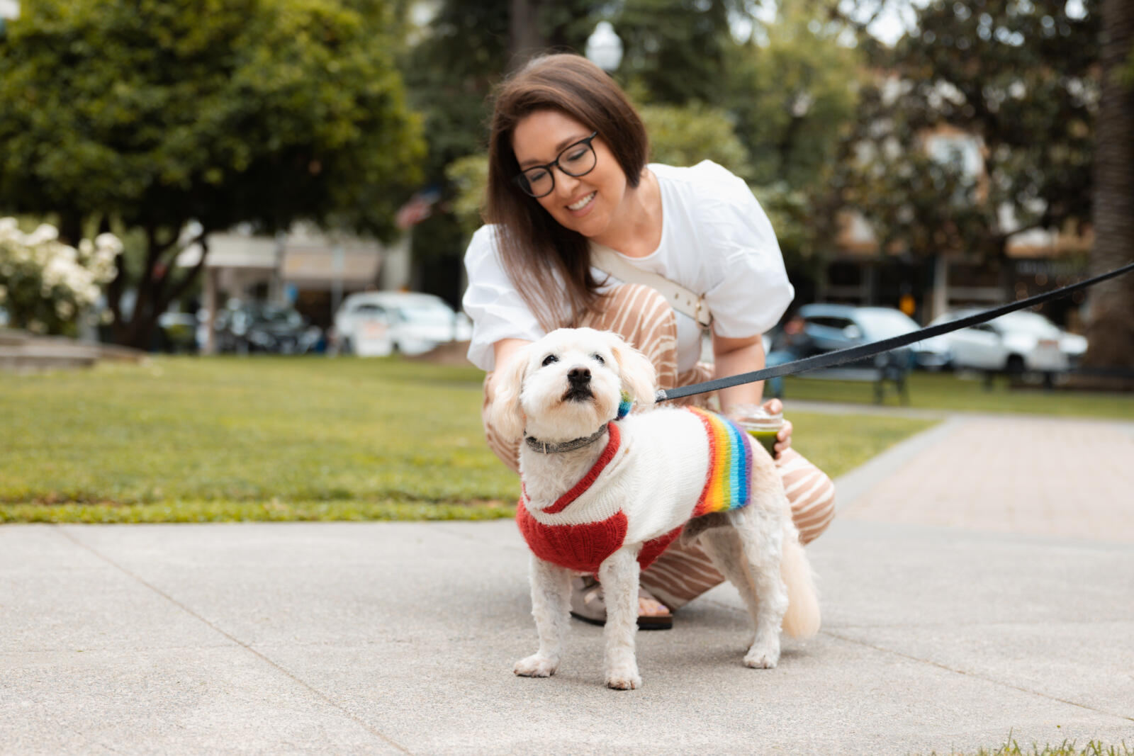Unleash the Fun in Healdsburg: A Dog-Friendly Destination Dog-Friendly Healdsburg