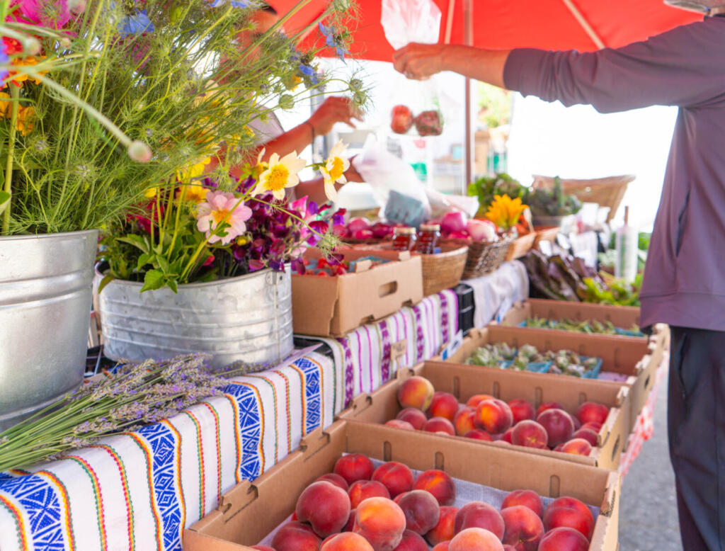 Healdsburg Saturday Farmer's Market