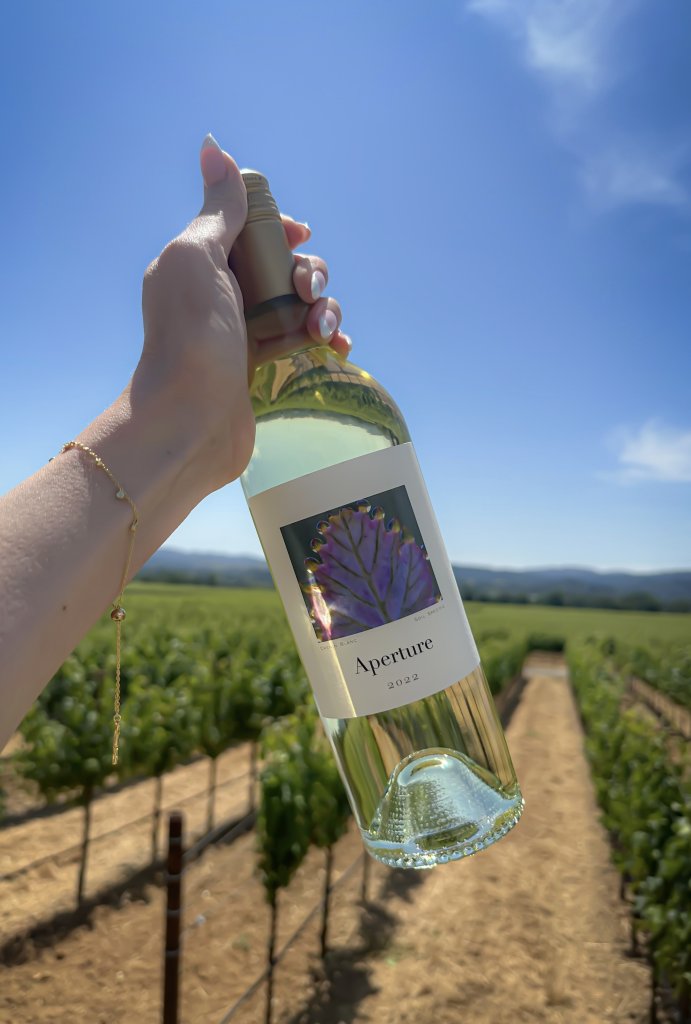 A hand holds a bottle of 2022 white wine named 'Aperture' in a vineyard under a blue sky in Healdsburg, California.