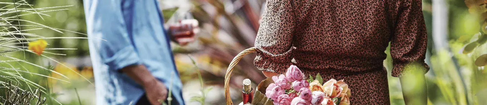 Spring Wine Trail – Wine Road