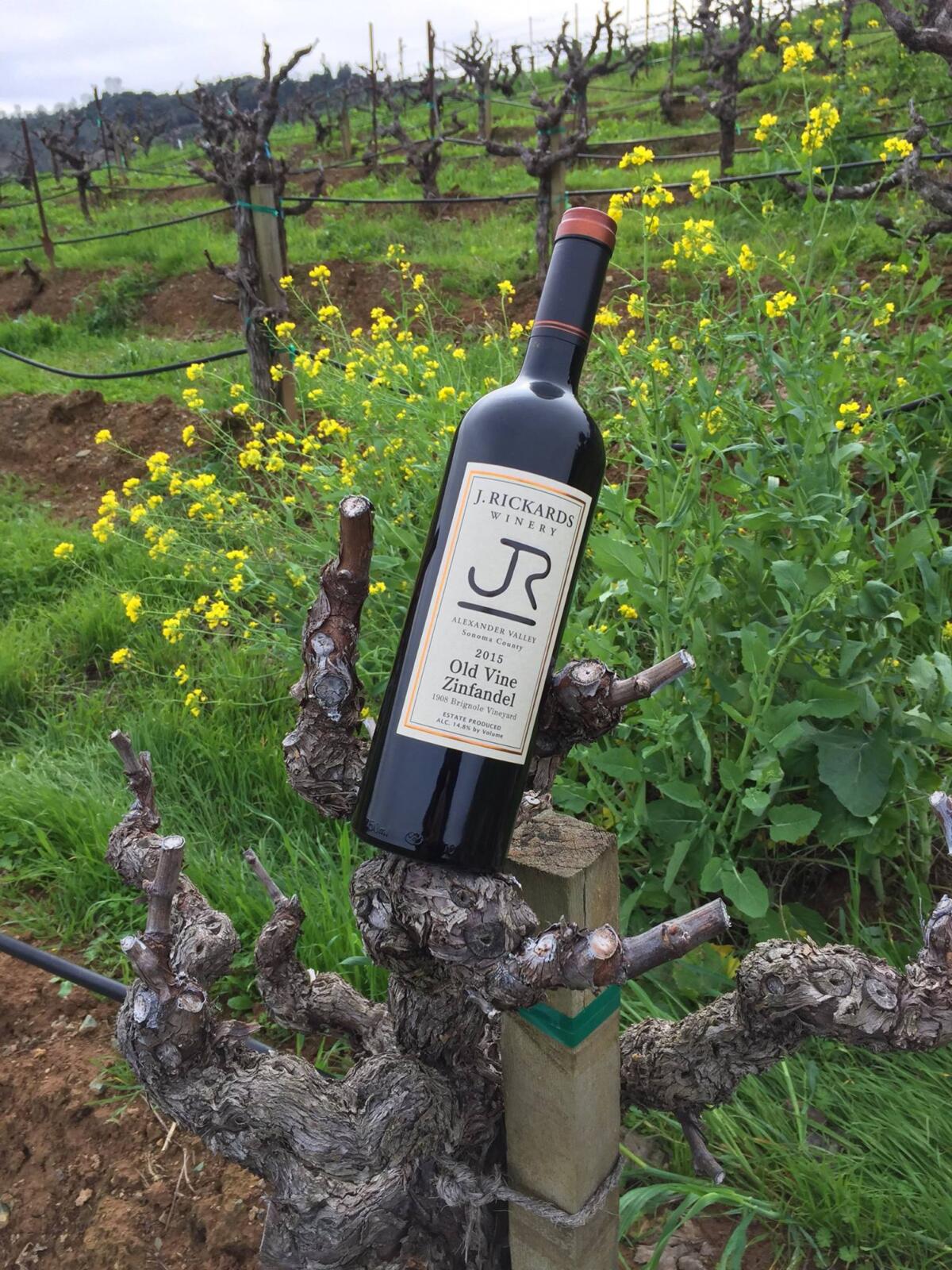 Eventos Open Barn at J. Rickards Winery