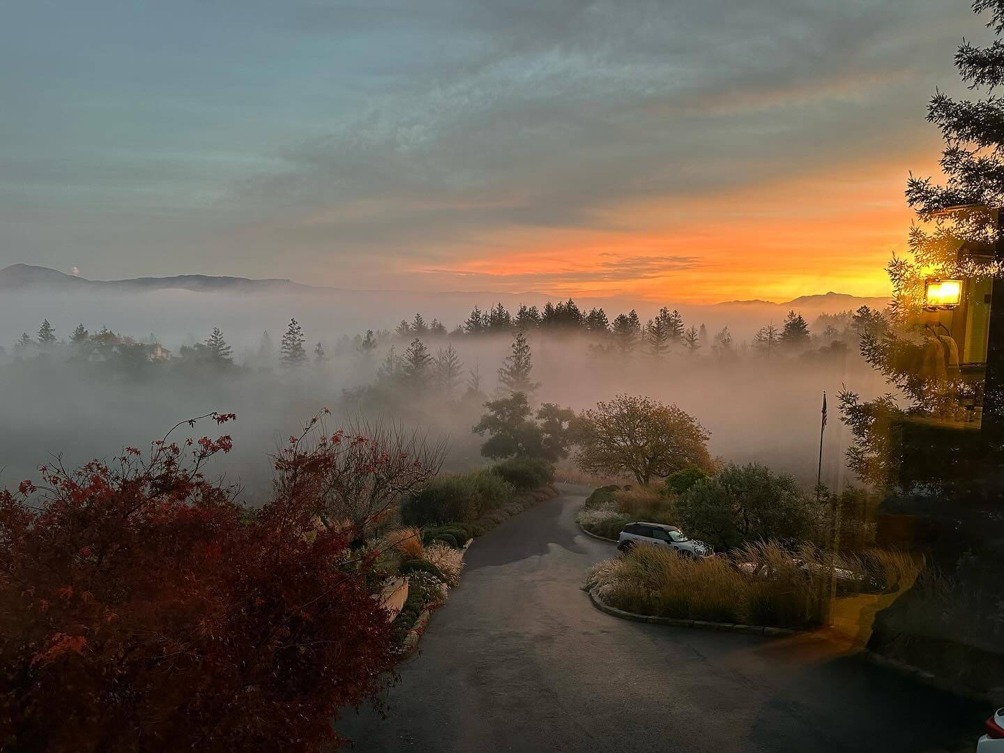 Listings Flambeaux Wine