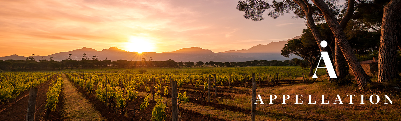 Events Crafted at Appellation: Scents of the Valley