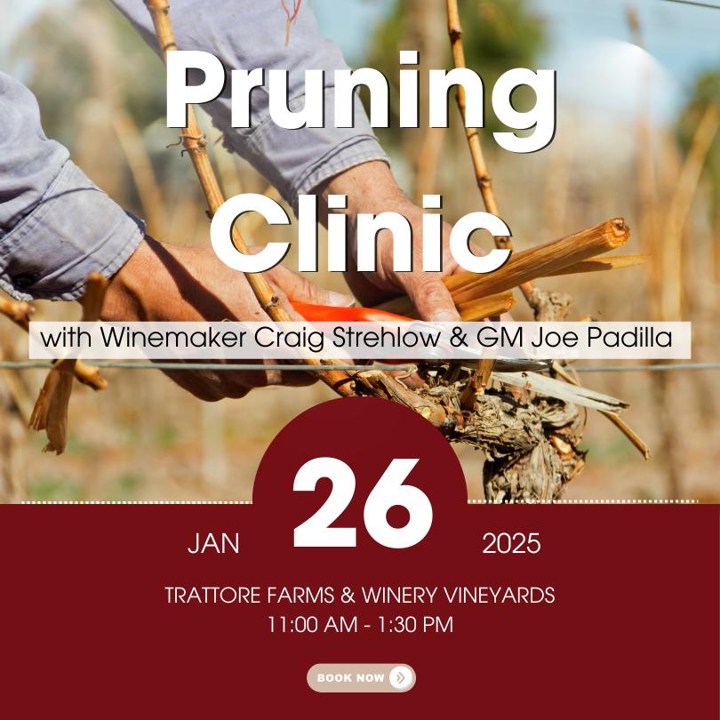 Vineyard Pruning Clinic with Craig & Joe