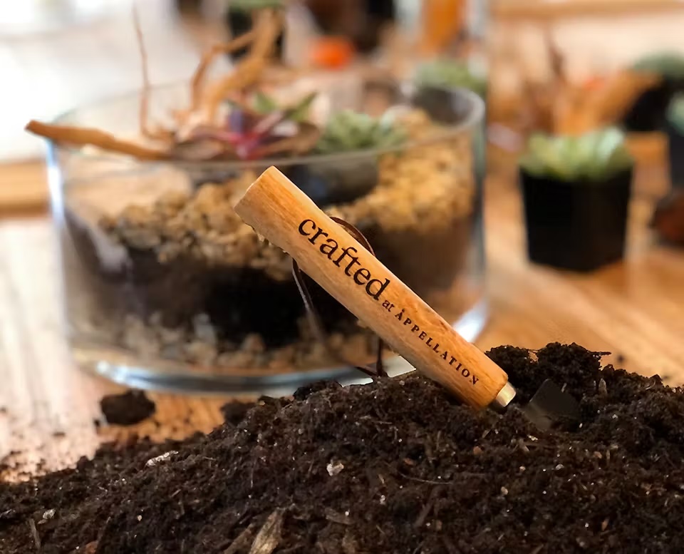 Crafted at Appellation: Terrarium Crafting