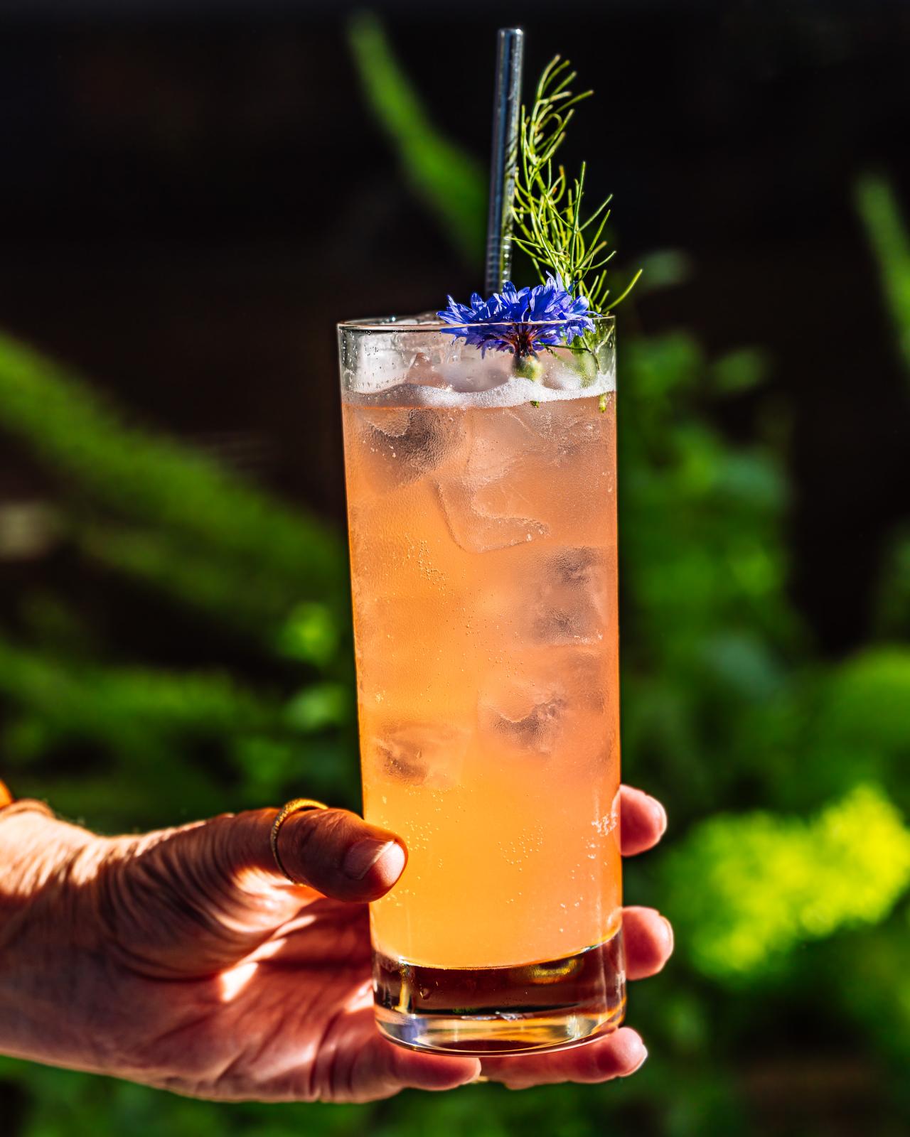 Mocktail Trail in Healdsburg Mocktail Trail in Healdsburg