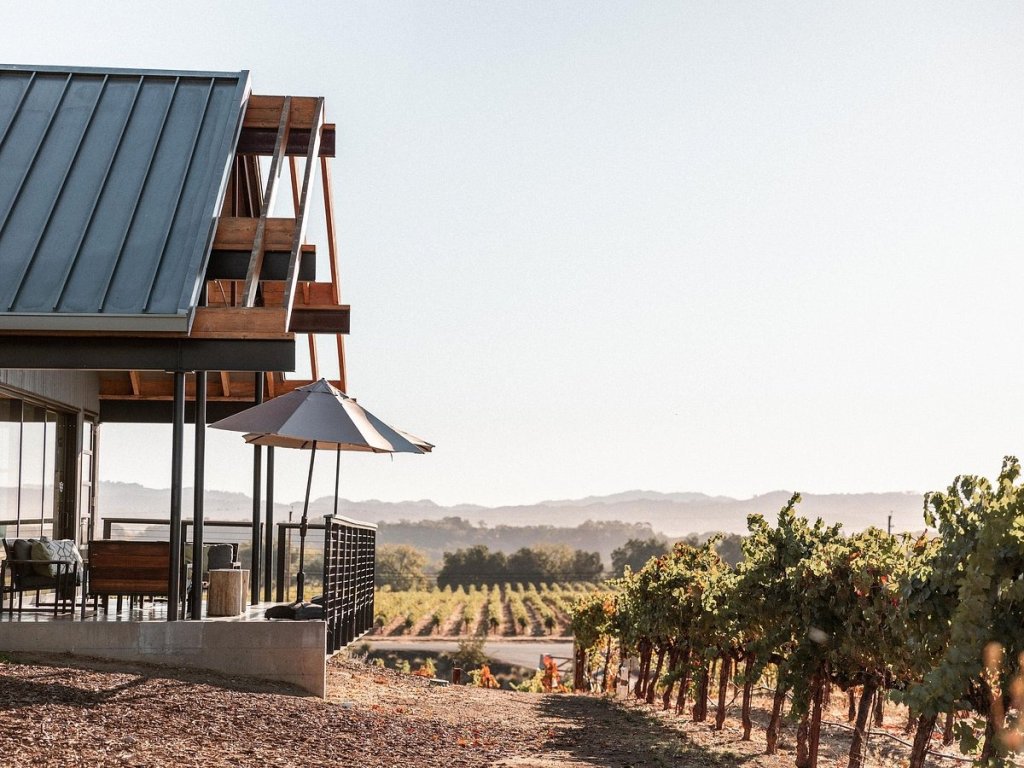 A modern house with a slanted roof and outdoor seating overlooks a vineyard and distant mountains in Healdsburg, California.