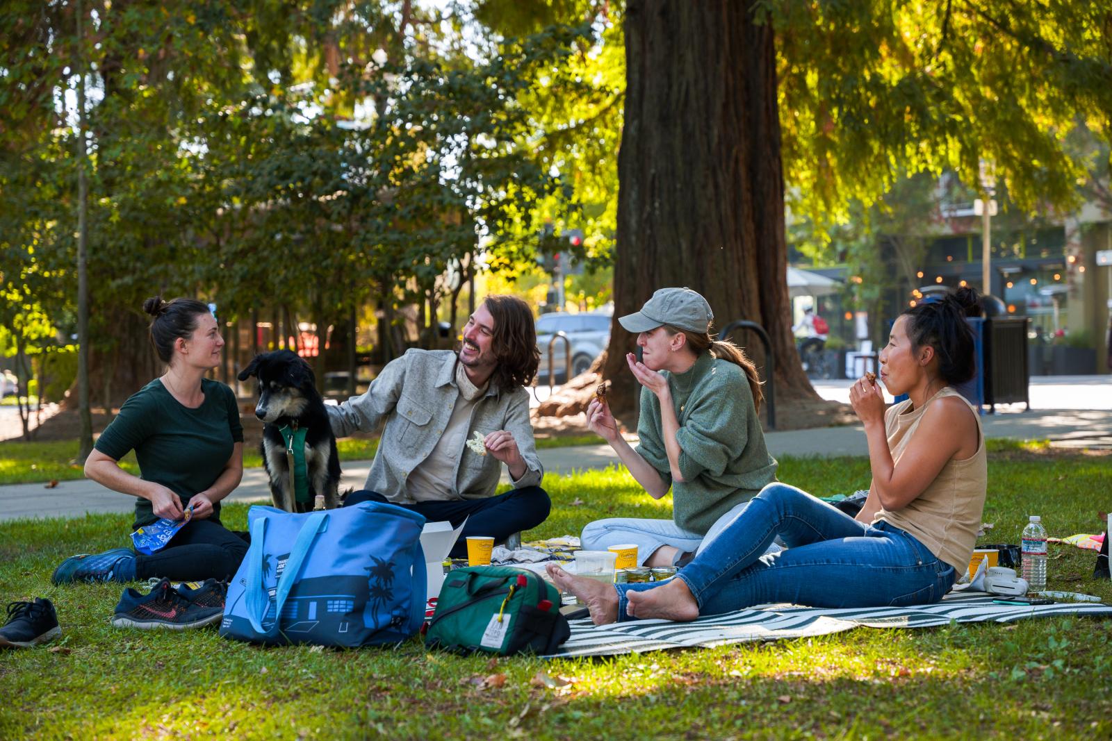 Wildflower Walks & Picnic with Hotel Healdsburg Four friends and a dog enjoy a sunny picnic lunch on a grassy area under a tree in Healdsburg, California.