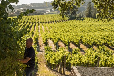 Eventos Vineyard Hike & Picnic at Robert Young Estate Winery