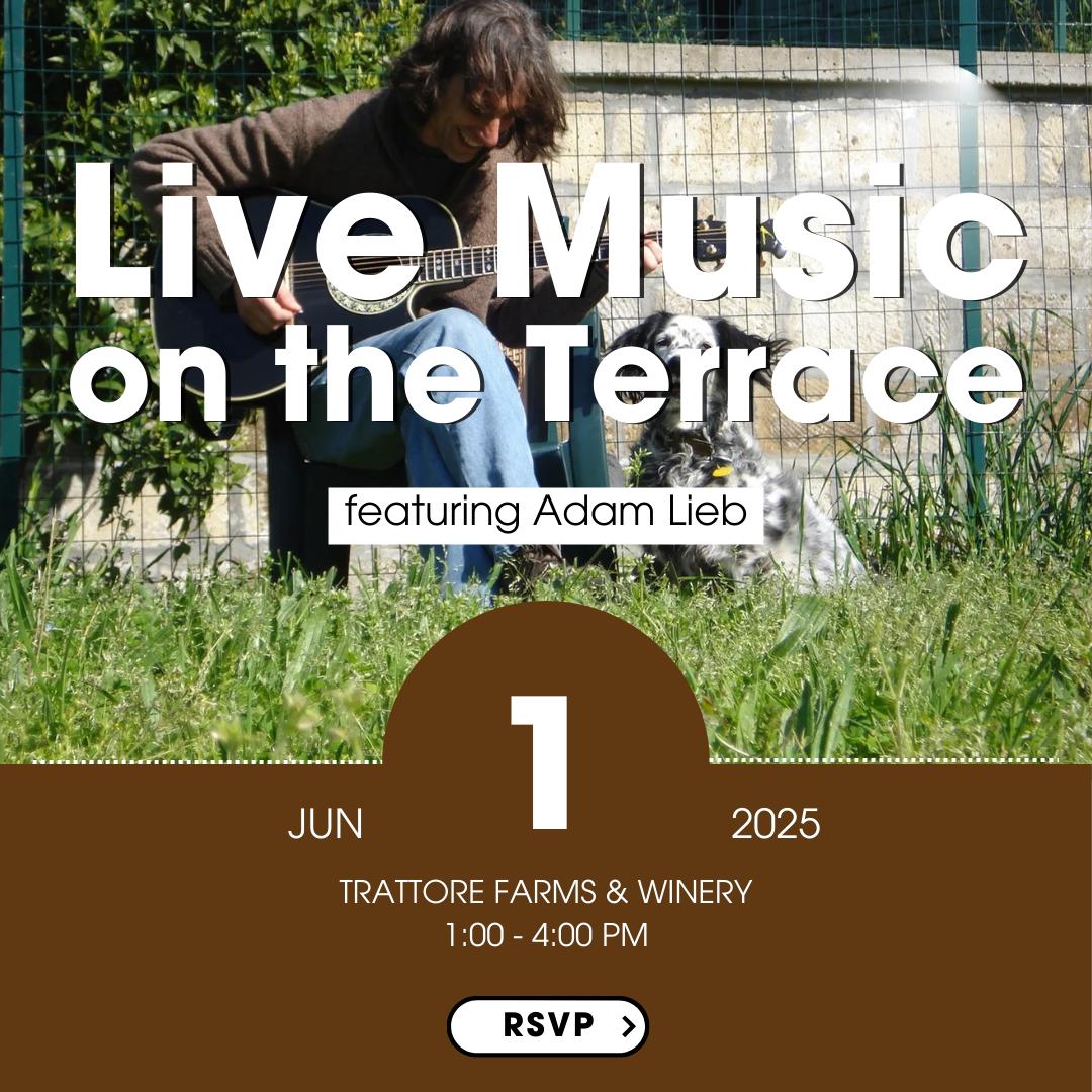 Eventos Live Music on the Terrace with Adam Lieb