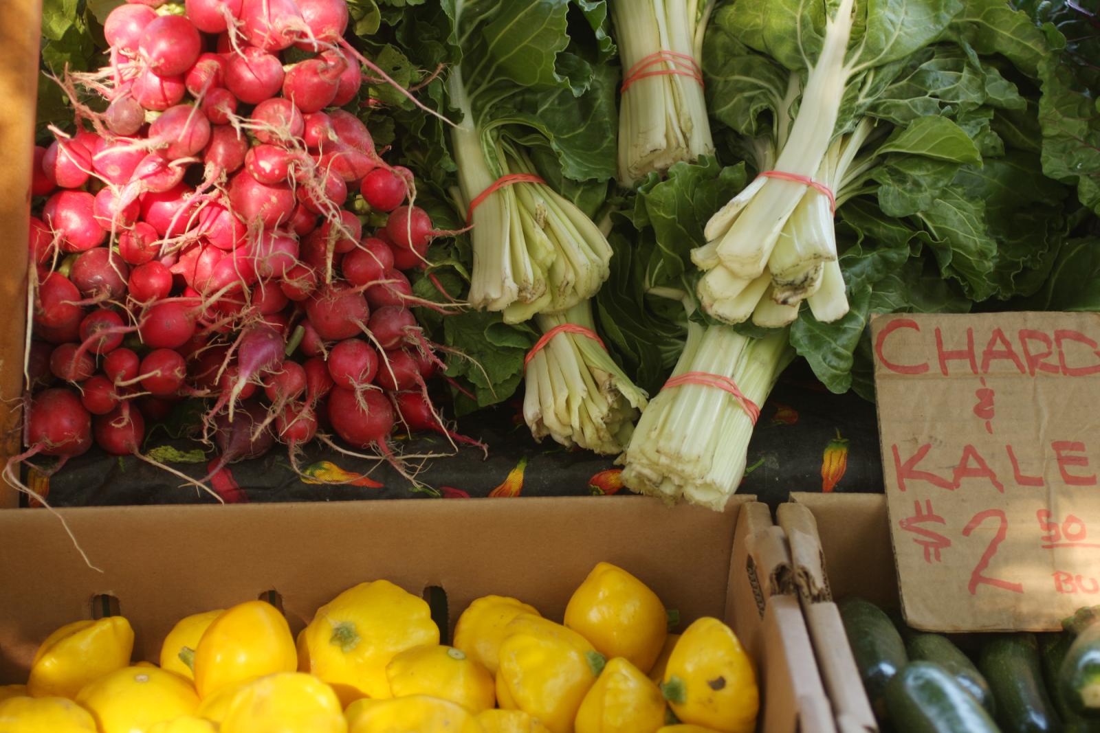 A vibrant display of fresh radishes, kale, and yellow squash at a farmers market in Healdsburg, California.