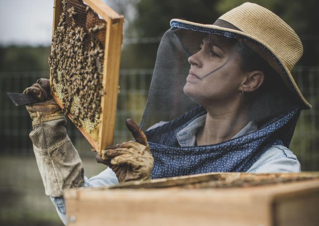 Hive to Herb: Natural Skincare Workshop Hive to Herb: Natural Skincare Workshop