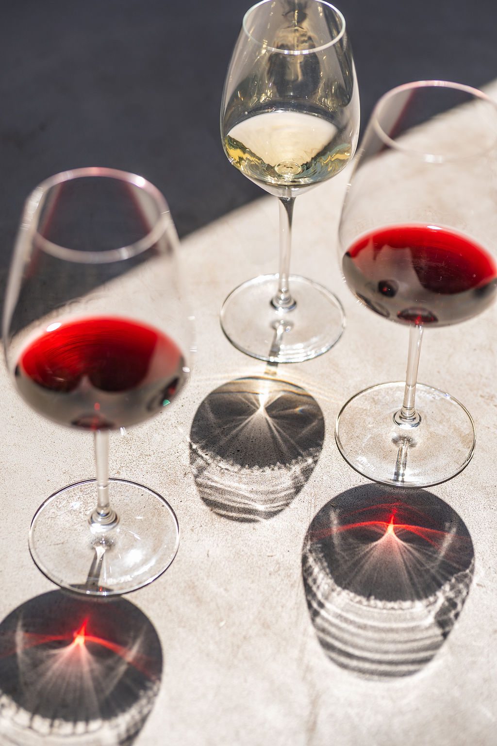 Eventos van Z Vineyards Harvest Party