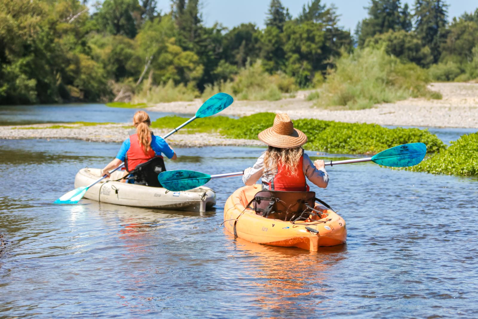 Two kayakers paddle down a serene river, surrounded by lush greenery and trees in Healdsburg, California.