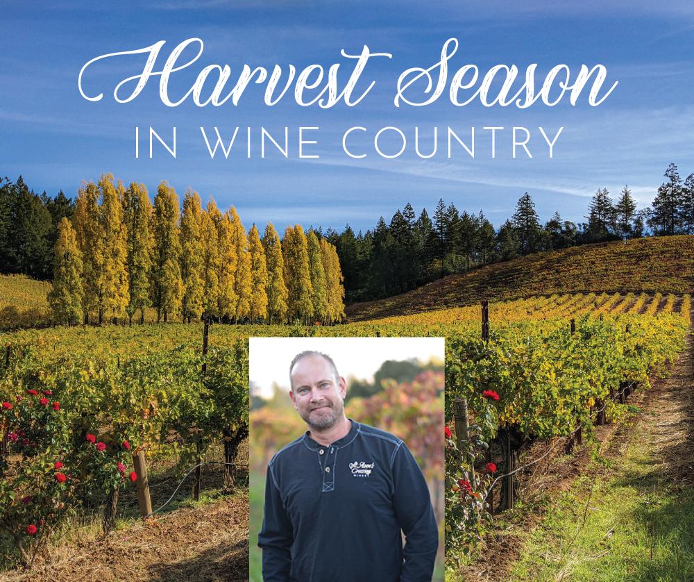 Harvest Retreat at Calderwood Inn A smiling man stands in a vineyard during autumn harvest season in Healdsburg, California.
