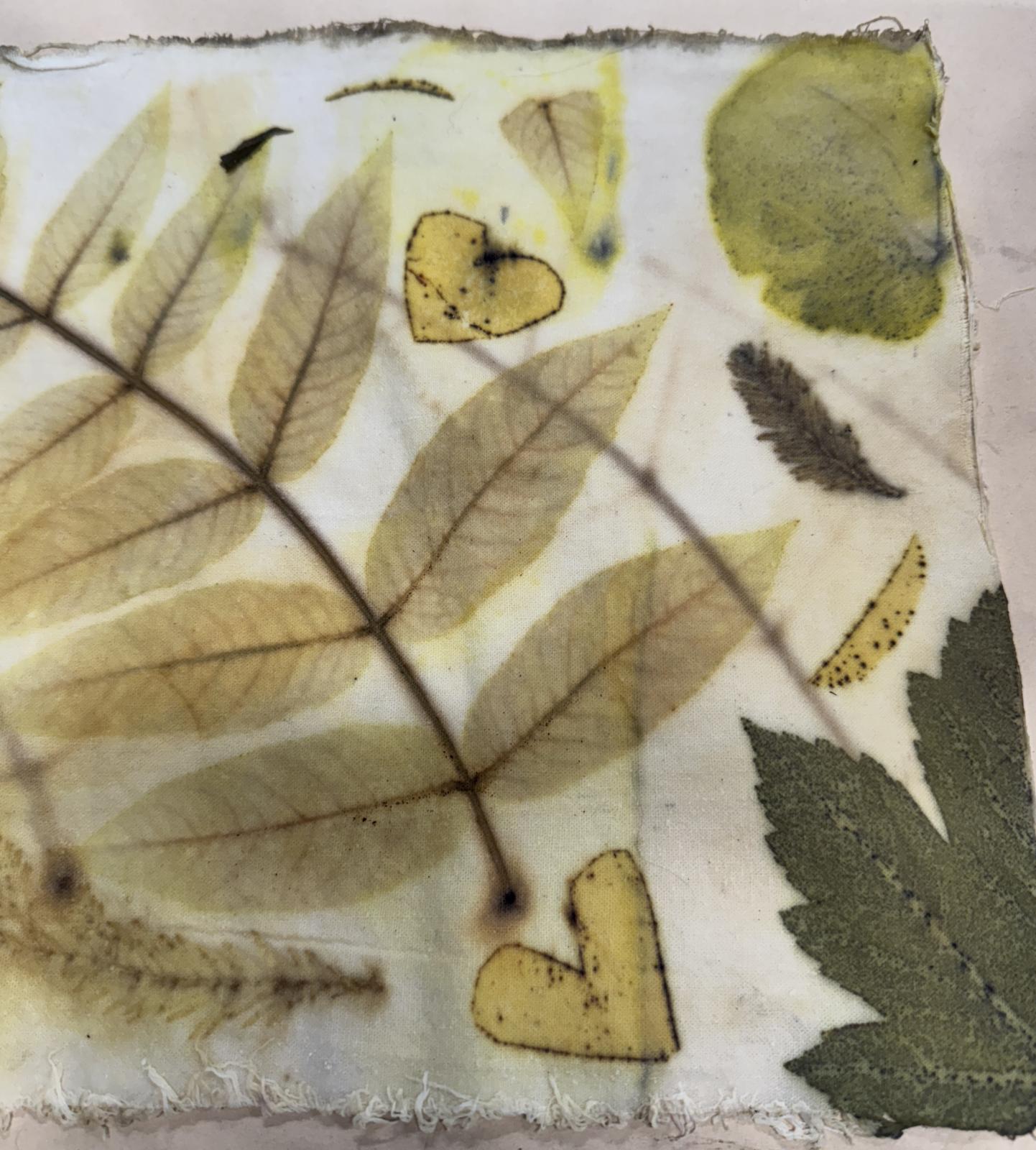 Eventos Fall Foliage to Fashion: Leaf Printing Workshop