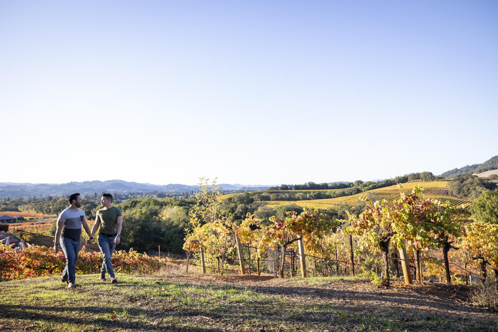 Harvest Workshop Stay Packages with h2hotel Harvest Workshop Stay Packages with h2hotel