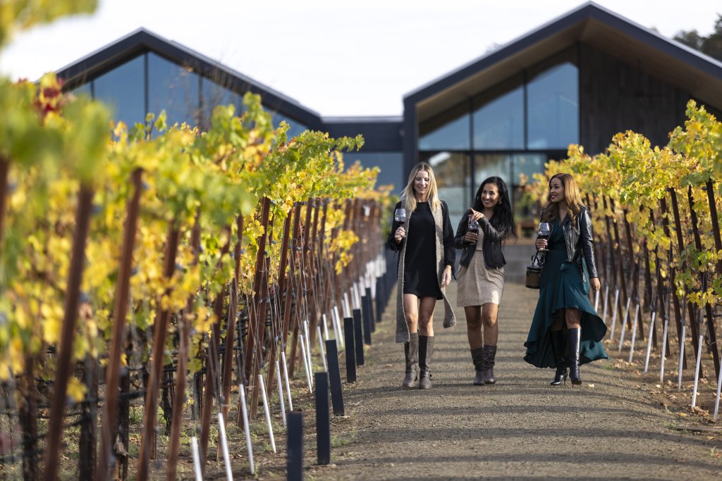 Three women walk through a vineyard, holding wine glasses, surrounded by autumn leaves in Healdsburg, California.
