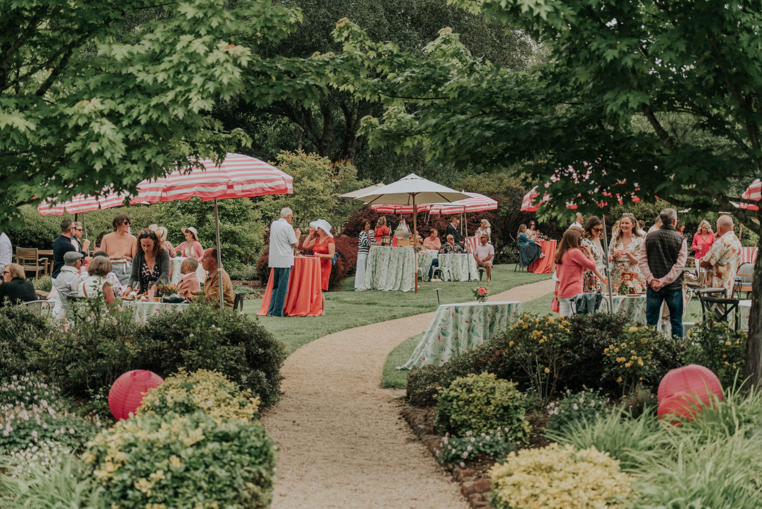 Meetings & Groups Guide