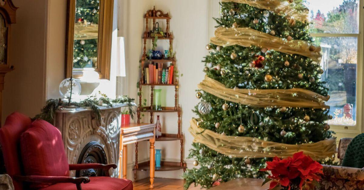 Midweek Holiday Stay Special at Camellia Inn Midweek Holiday Stay Special at Camellia Inn