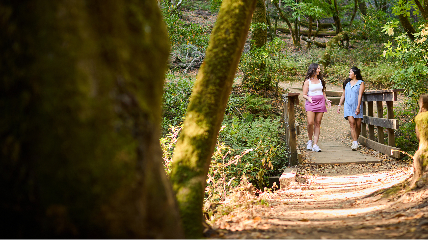 Outdoor & Wellness Outdoor & Wellness