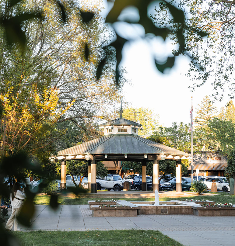 Prensa y medios Press & Media