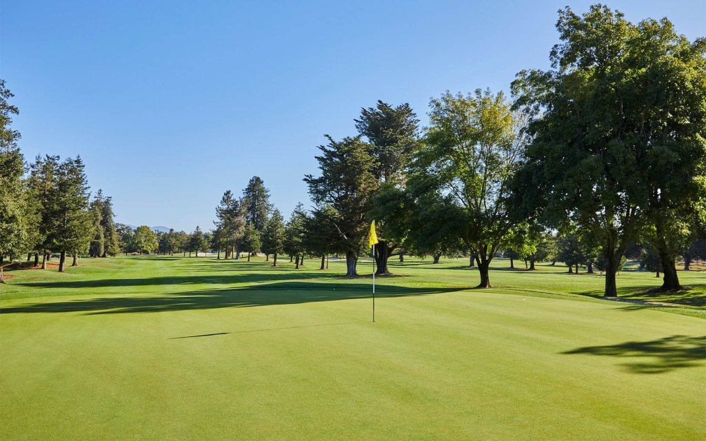 A serene golf course with lush green fairways and tall trees under a clear blue sky in Healdsburg, California.